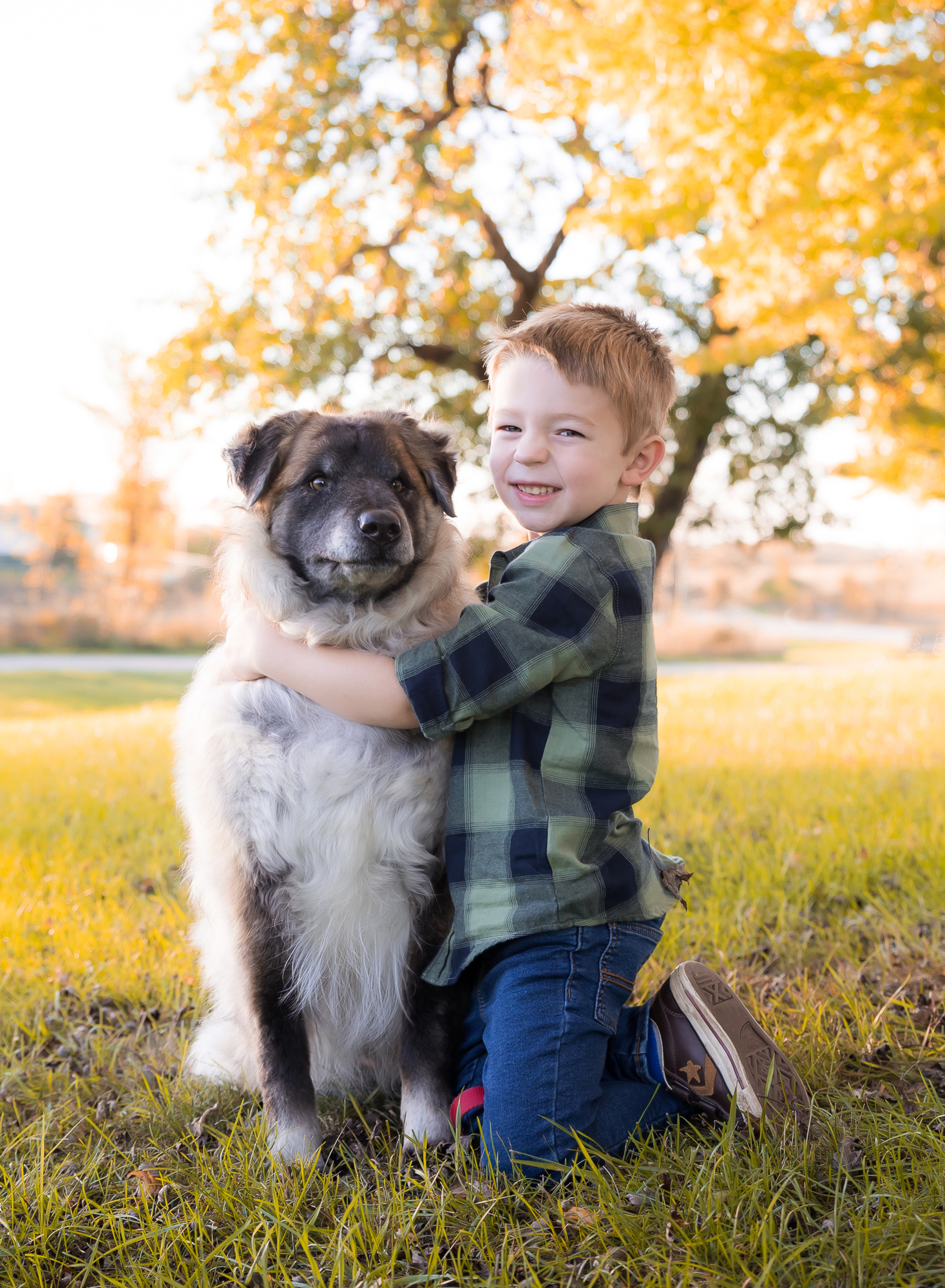 a-boy-hugging-his-dog