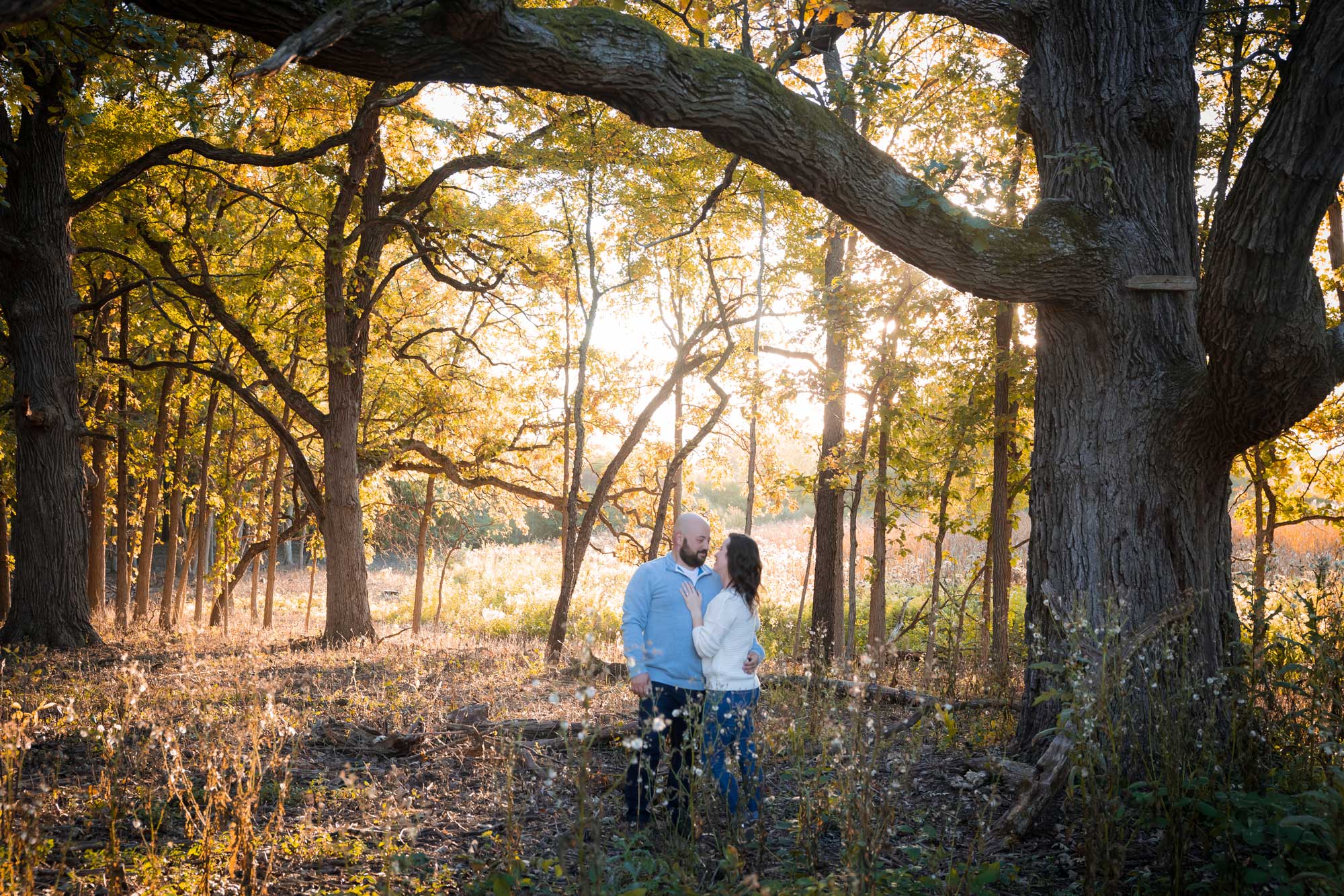 engaged couple under large tree homepage